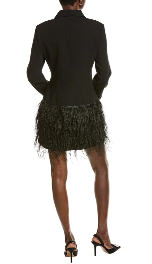 Blazer Feather Dress