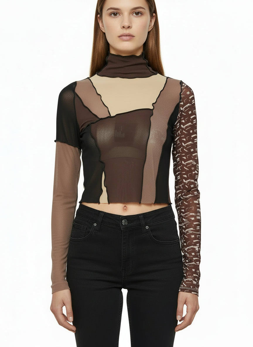 Artist Sheer Turtleneck Top