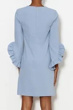 RUFFLE SLEEVE DRESS