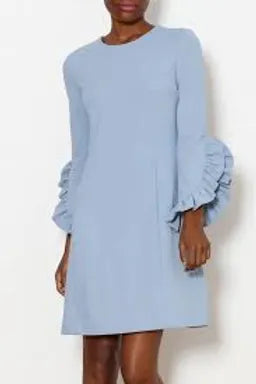 RUFFLE  SLEEVE  DRESS